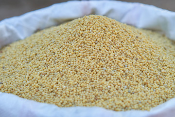 Diammonium phosphate (DAP),The typical formulation is 18-46-0,yellow color.fertilizer for plant in bag.