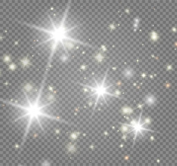 The bright star on transparent background. Vector