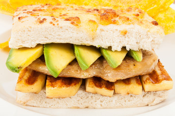 sandwich made with focaccia bread