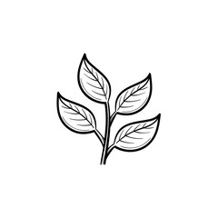 Branch with leaves hand drawn outline doodle icon