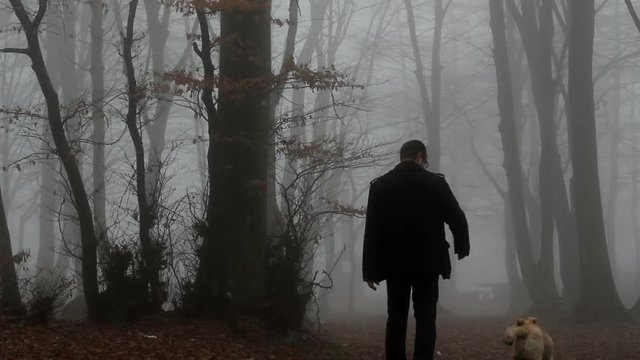 Man and his dog stepping through the foggy forest