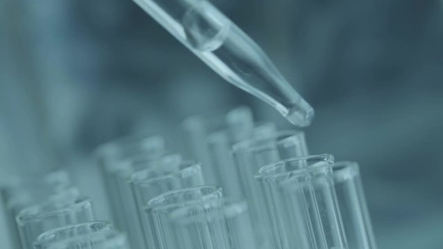 Close up of laboratory scientist working with a pipette analyzes and extract the DNA or molecules in the test tubes.on blue background with virtual interface
