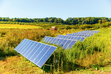 solar panels on the farm. solar system on the corn field