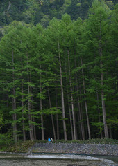 Obraz premium Idyllic landscape of Kamikochi national park, Kamikochi, Japan