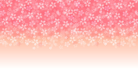 桜　春　花　背景 