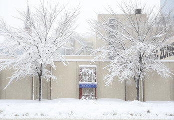 snow trees cityscape