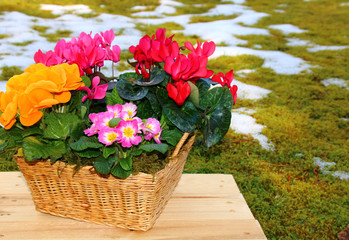 blumen korb im garten