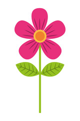 pink flower leave decoration natural icon