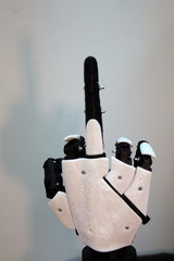 The robot arm with the middle finger up