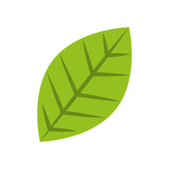 green leaf natural foliage icon