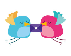 beautiful flying birds with message in beak lovely