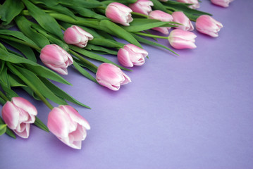 Obraz na płótnie Canvas Pink Tulips bouquet, over Purple Background with copy space. Top view. flat Lay. Spring time.