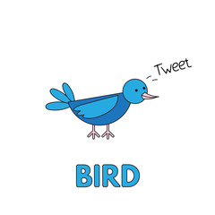 Cartoon Bird Flashcard for Children