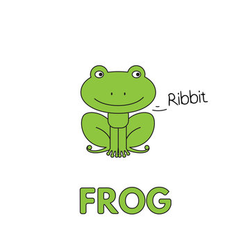 Cartoon Frog Flashcard for Children