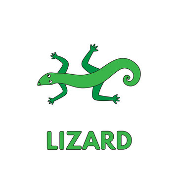 Cartoon Lizard Flashcard for Children