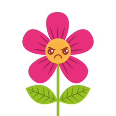 beautiful flower angry kawaii cartoon