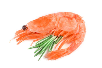 Red cooked prawn or shrimp with rosemary isolated on white background