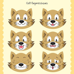 Cat Faces Expression