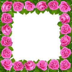 Fototapeta na wymiar Frame with Pink roses. Isolated on white background