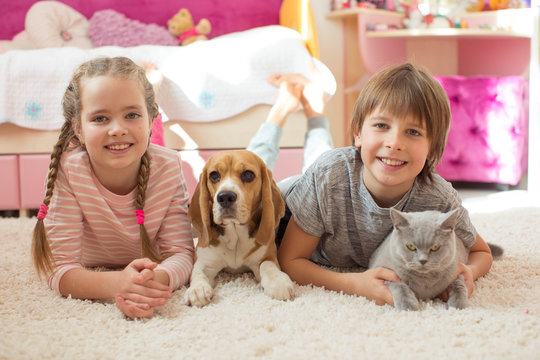 Children with a dog at home 
