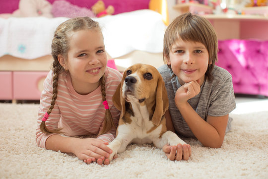 Children with a dog at home 
