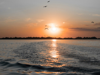 Fototapeta na wymiar Catching the sundown in the Danube Delta
