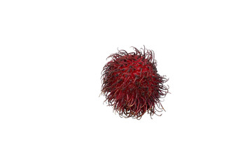 Rambutan