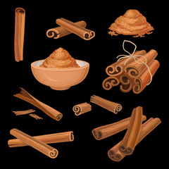 Vector set of cinnamon sticks and powder. Aromatic condiment. Spicy seasoning for dishes, sweets and drinks. Culinary theme. Cooking and aromatherapy ingredient
