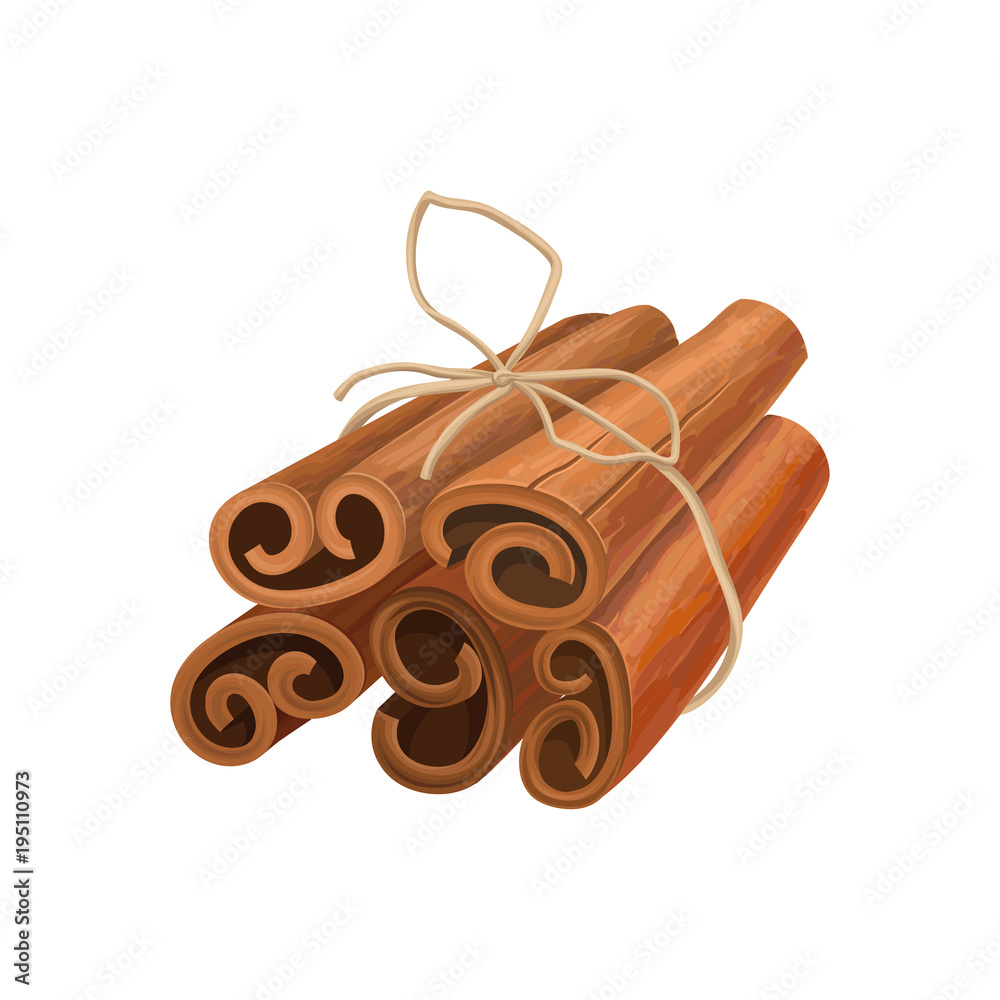 Canvas Prints Bunch of cinnamon sticks tied with rope. Oriental spice. Aromatic seasoning for dishes and drinks. Detailed vector element for product packing or cafe menu