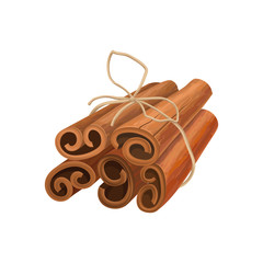 Bunch of cinnamon sticks tied with rope. Oriental spice. Aromatic seasoning for dishes and drinks. Detailed vector element for product packing or cafe menu