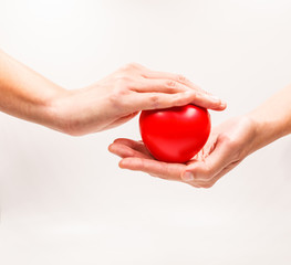 Heart shape in the helping hands on white background. Heart illness, disease protection, proactive checkup, mind diagnosis, sickness prevention, healthcare concept