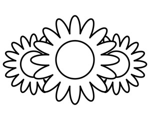 three flowers decoration nature romantic