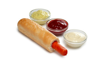 Layout for menu. Hot dog sandwich with sauce, ketchup and mustard