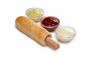 Layout for menu. Hot dog sandwich with sauce, ketchup and mustard
