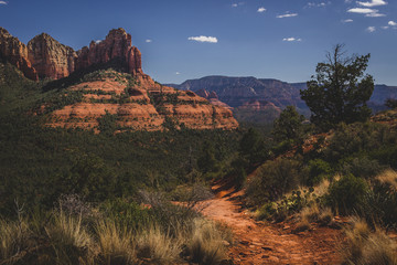 Brins Mesa Trail Vista