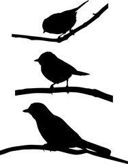 set of three birds on branches black silhouettes © Alexander Potapov
