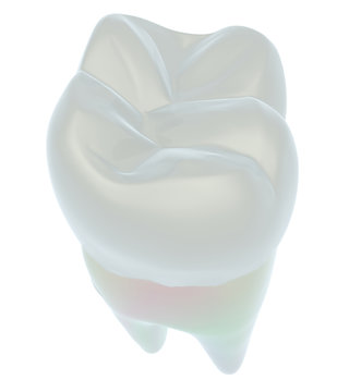 Tooth. 3d illustration