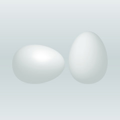 3d realistic white eggs with shadow isolated gradient background vector illustration