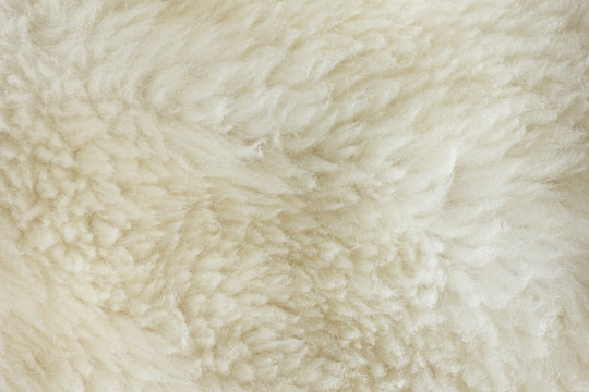 Natural Fur Texture
