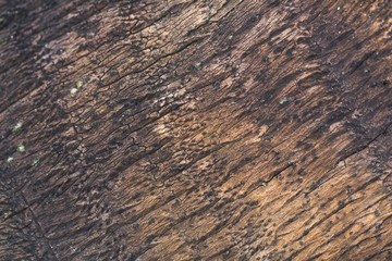 herbal, organic structures in thailand