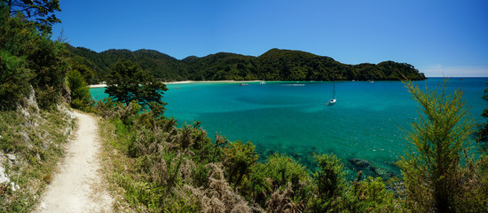 Trail leading to Bark Bay, Abel Tasman National Park, New Zealand