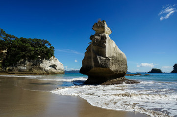 Smiling Sphinx Rock, Mare's Leg Cove, Hahei, Coromandel Peninsula, New Zealand