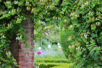 Fototapeta na wymiar Parkanlage Mottisfont house and garden, England