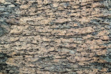 Rock stone background