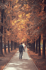 Newlyweds groom and bride walking in autumn park