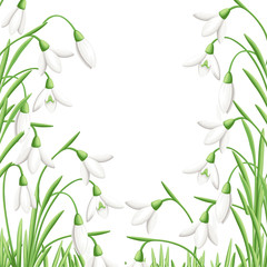 Pattern of spring flower. The first snowdrops Galanthus. Flowers for decoration. Vector illustration isolated on white background. Web site page and mobile app design