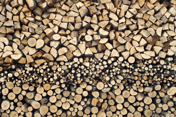 pile of wood logs from trees