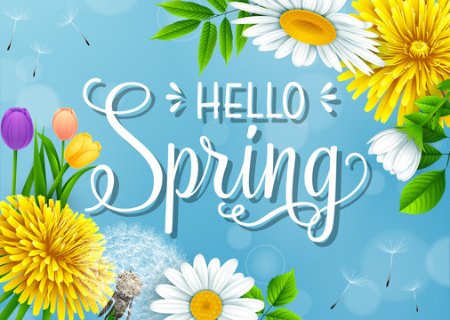 Hello Spring background with different flowers on blue sky background