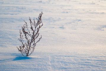 Fototapeta na wymiar Abstract winter background, beautiful and unusual snow texture,