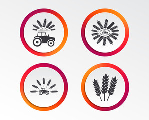 Obraz premium Tractor icons. Wreath of Wheat corn signs. Agricultural industry transport symbols. Infographic design buttons. Circle templates. Vector